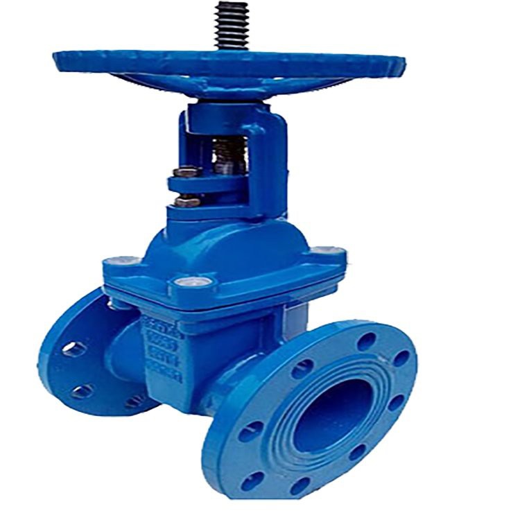 Rising Stem Gate Valve